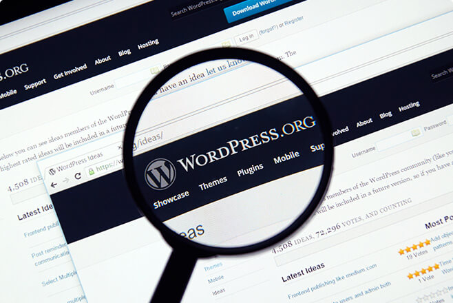Wordpress CMS system